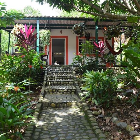 Вілла Casa Oasis De Colibri Ель-Зайно Екстер'єр фото